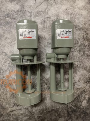 Máy bơm điện DB-12A